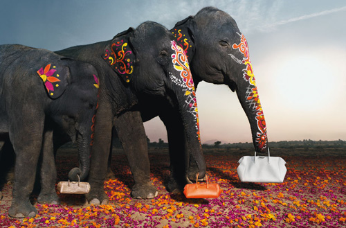 Hermes india inspiration ad elephant for fashion